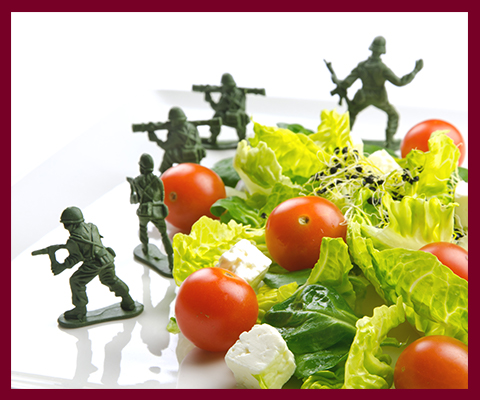 Soldiers defending food